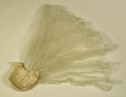 Free download 1960`s Wedding Head Dress free photo or picture to be edited with GIMP online image editor